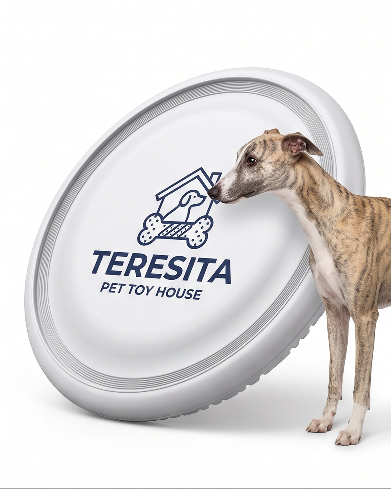 Teresita Discount II Inc Dog Flying Disc - White - Image 6